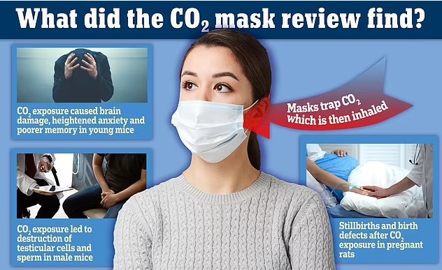 Democrats Betrayed America; “Face masks may raise risk of stillbirths, testicular dysfunction and cognitive decline due to build-up of carbon dioxide,” study