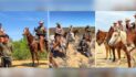 Paws And Hooves: Texas DPS Celebrates New K9 And Mounted Patrol Graduates that Catch Illegal Aliens and Fight Crime