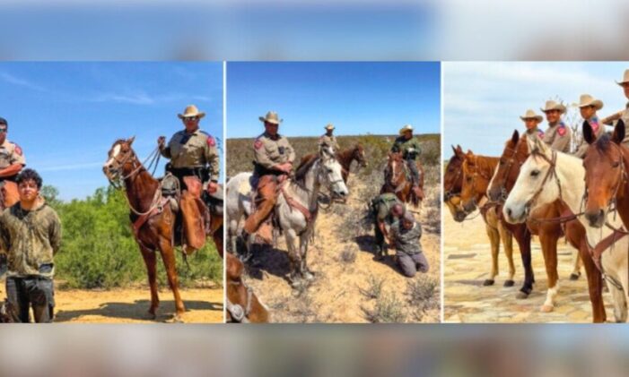 Paws And Hooves: Texas DPS Celebrates New K9 And Mounted Patrol Graduates that Catch Illegal Aliens and Fight Crime